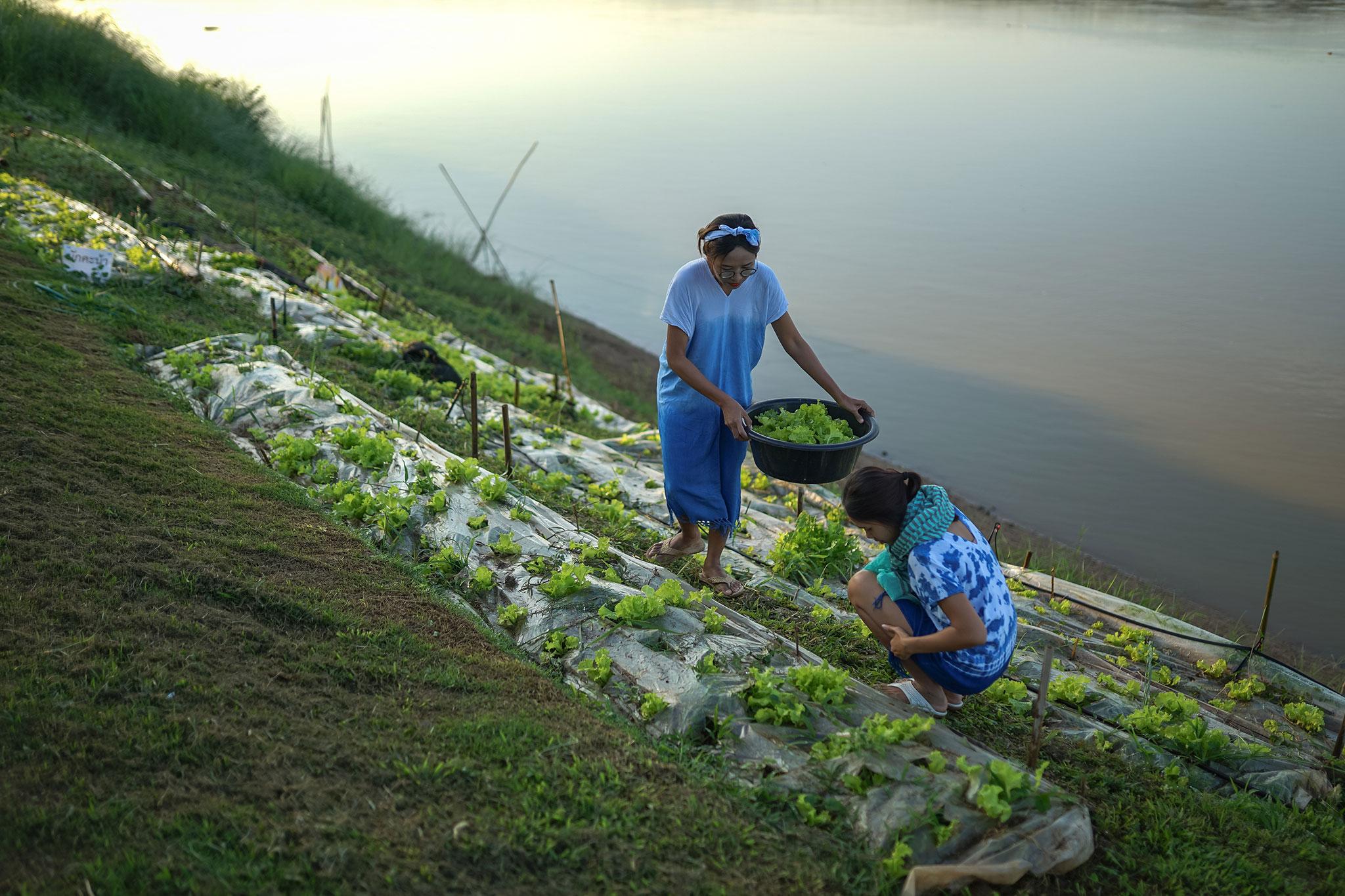 Chiangkhan River Mountain Resort Chiang Khan Ngoại thất bức ảnh
